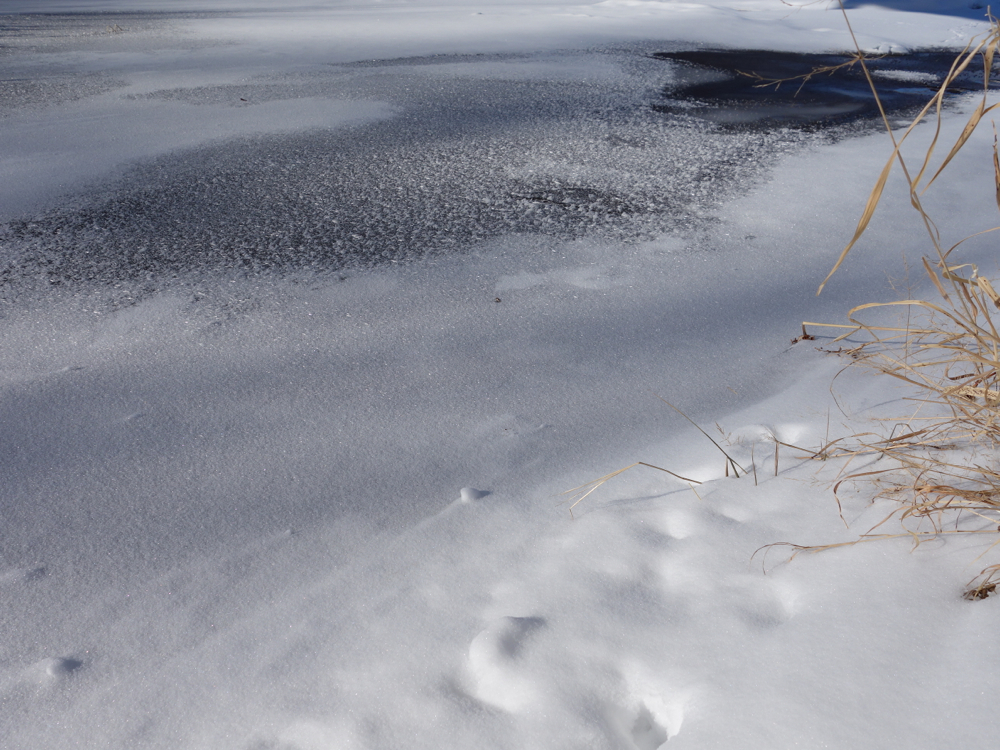 f:id:elmikamino:20130108110458j:image:w500