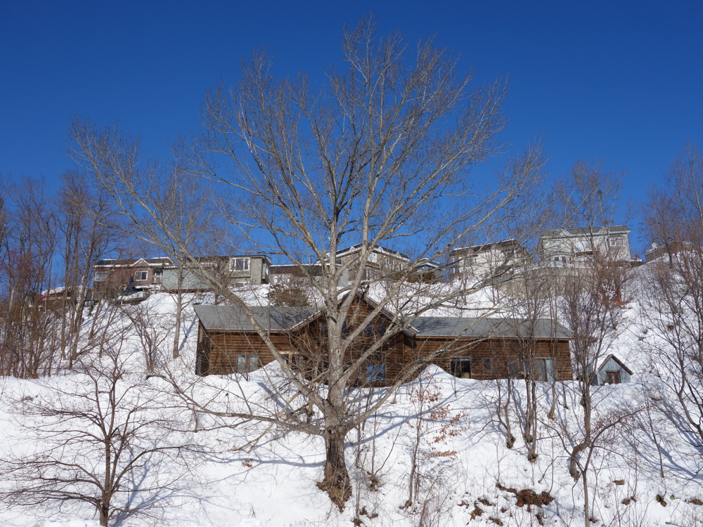 f:id:elmikamino:20130108112352j:image:w500