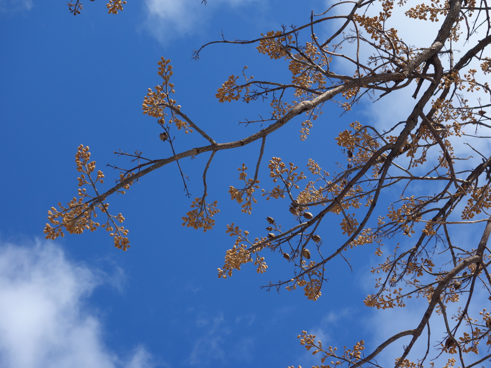 f:id:elmikamino:20130108112630j:image:w500