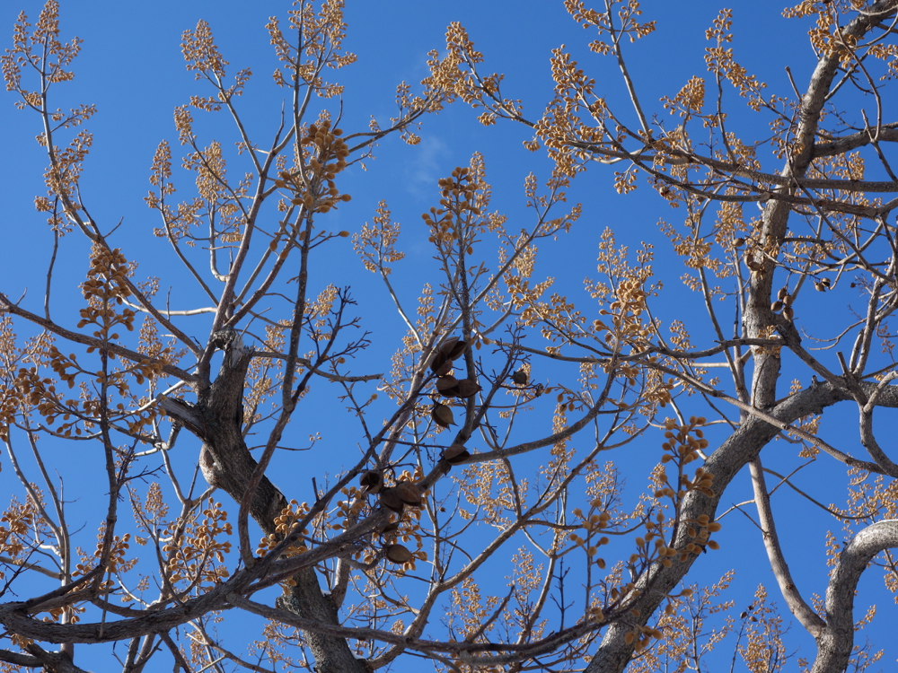 f:id:elmikamino:20130108112646j:image:w500