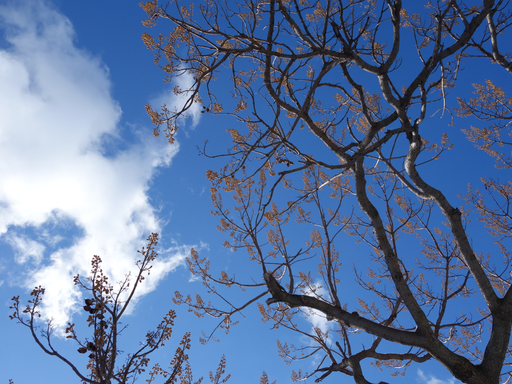 f:id:elmikamino:20130108112707j:image:w500