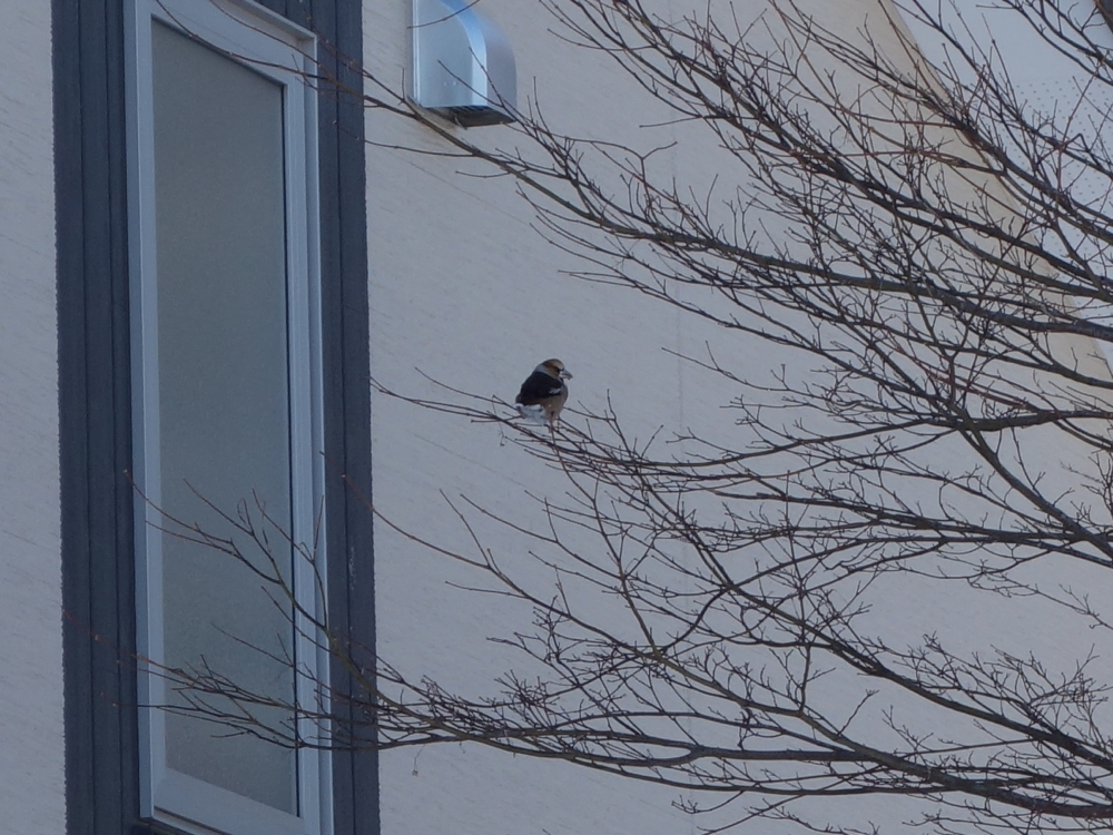 f:id:elmikamino:20130108115229j:image:w500