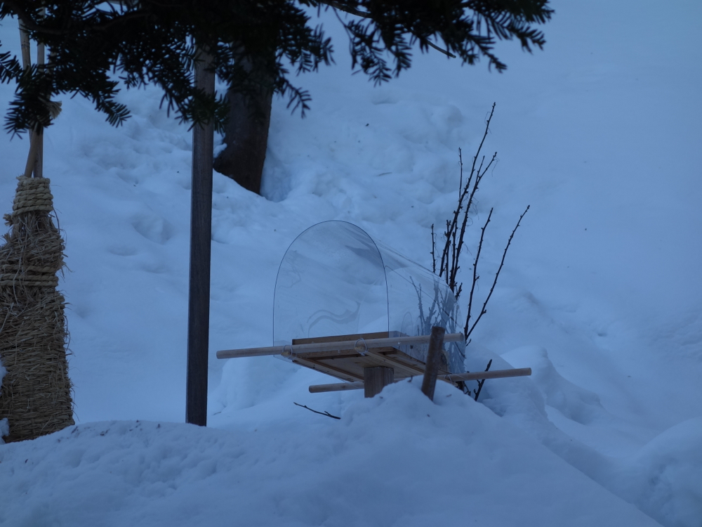 f:id:elmikamino:20130108115753j:image:w500
