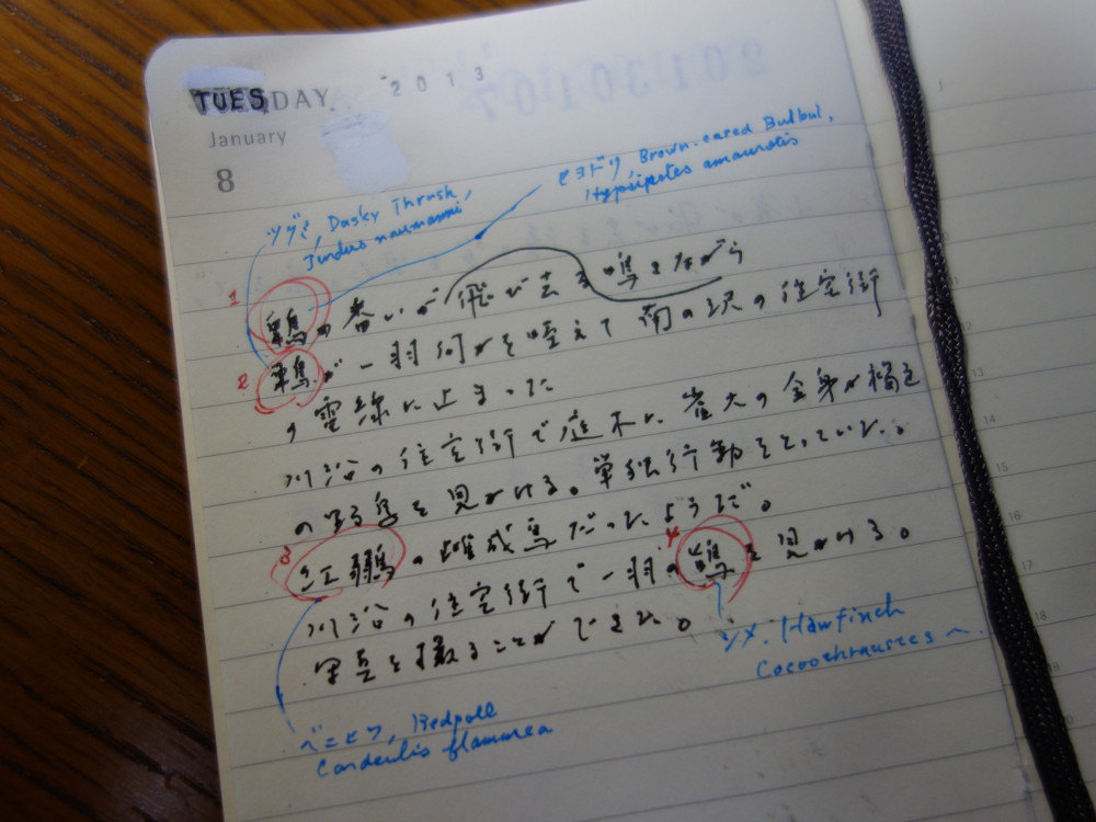 f:id:elmikamino:20130108171039j:image:w500