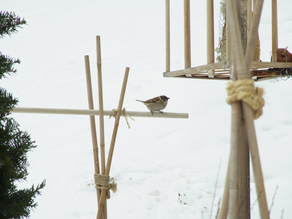 f:id:elmikamino:20130112105651j:image:w500