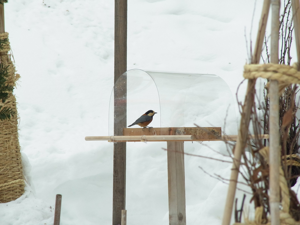f:id:elmikamino:20130112105915j:image:w500