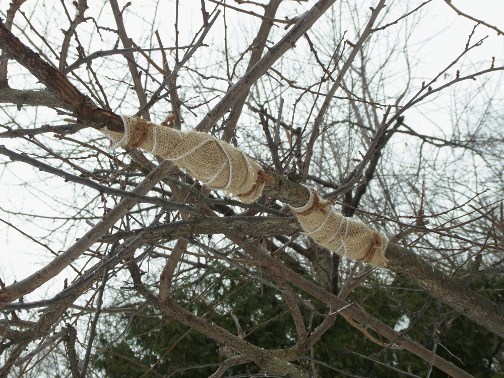 f:id:elmikamino:20130112110201j:image:w500