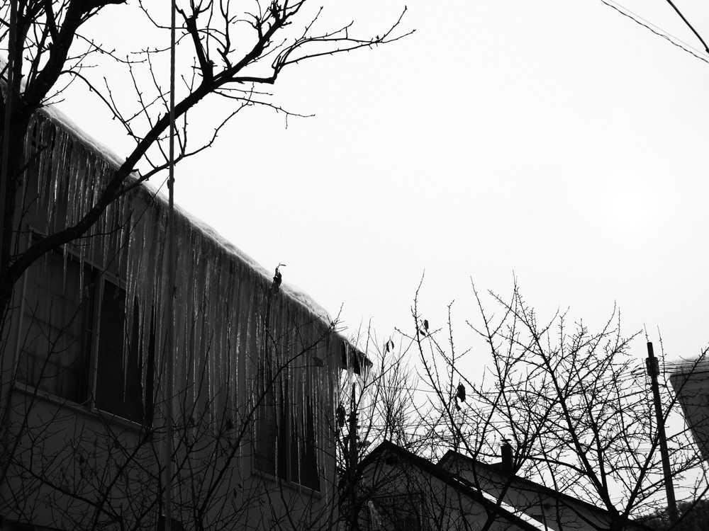 f:id:elmikamino:20130112110558j:image:w500