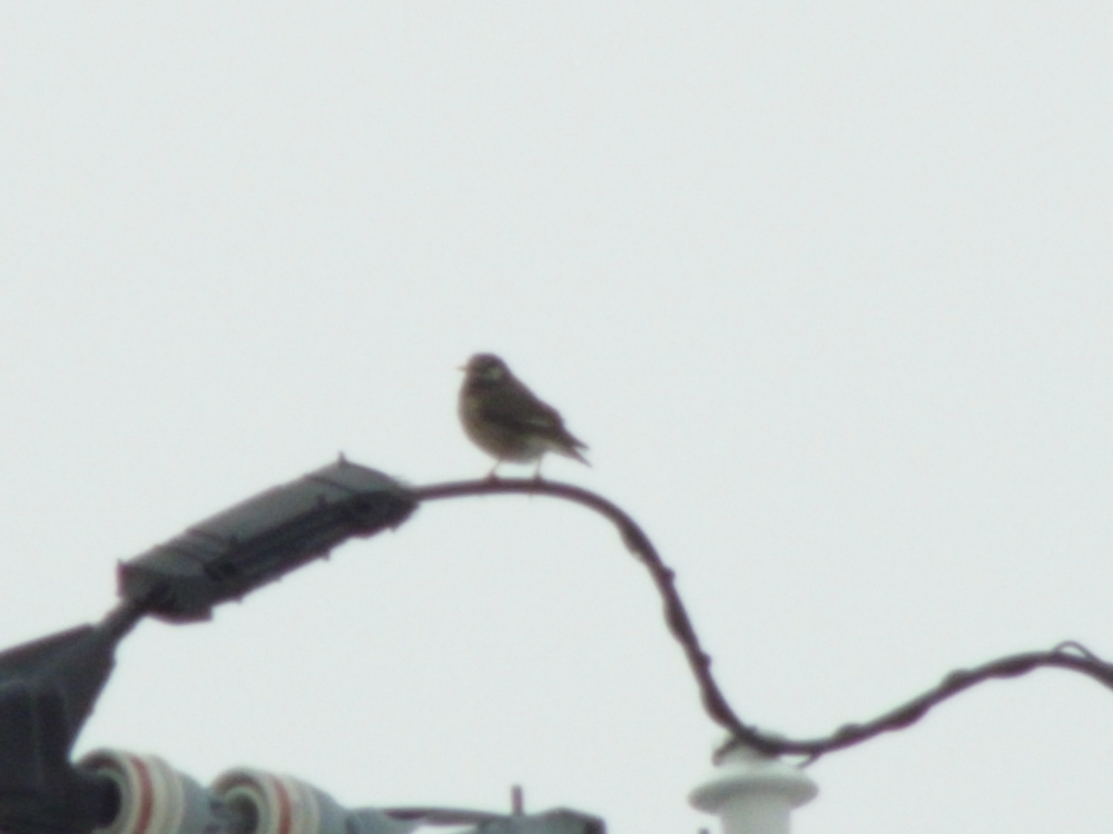 f:id:elmikamino:20130112110816j:image:w500