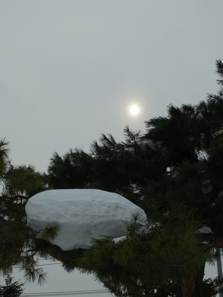 f:id:elmikamino:20130112110934j:image:w500