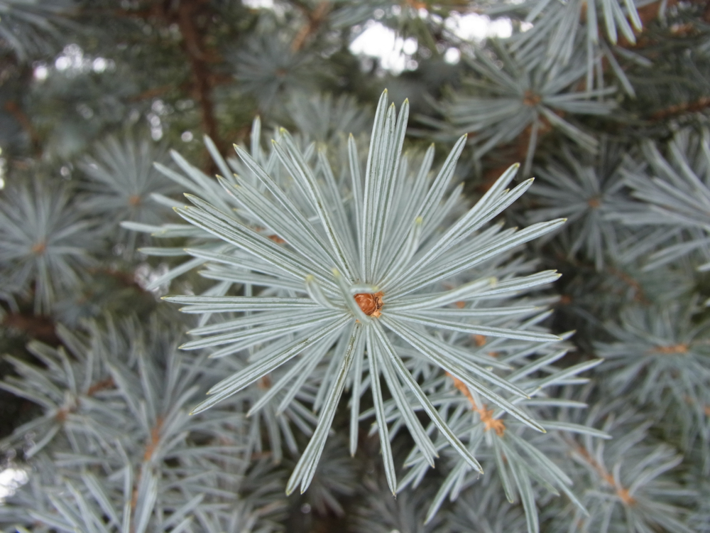 f:id:elmikamino:20130112111250j:image:w500