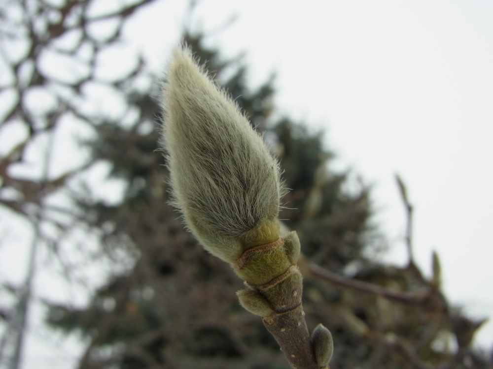 f:id:elmikamino:20130112111336j:image:w500