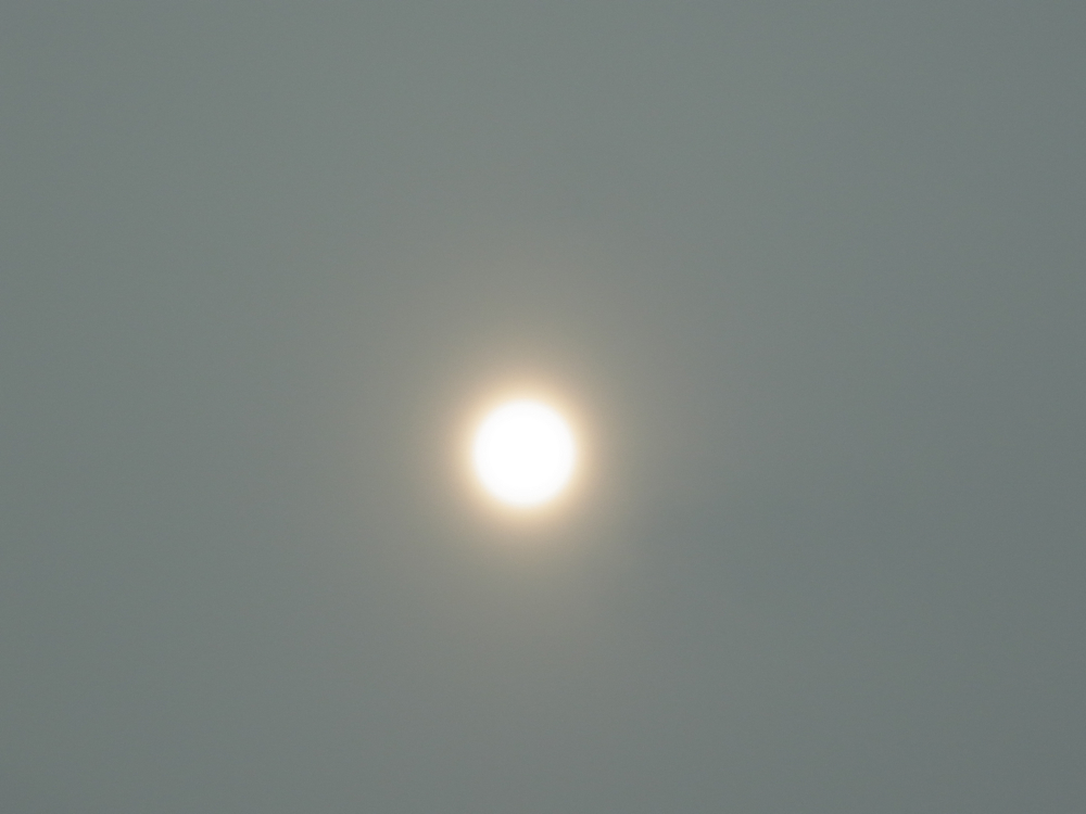 f:id:elmikamino:20130112113259j:image:w500