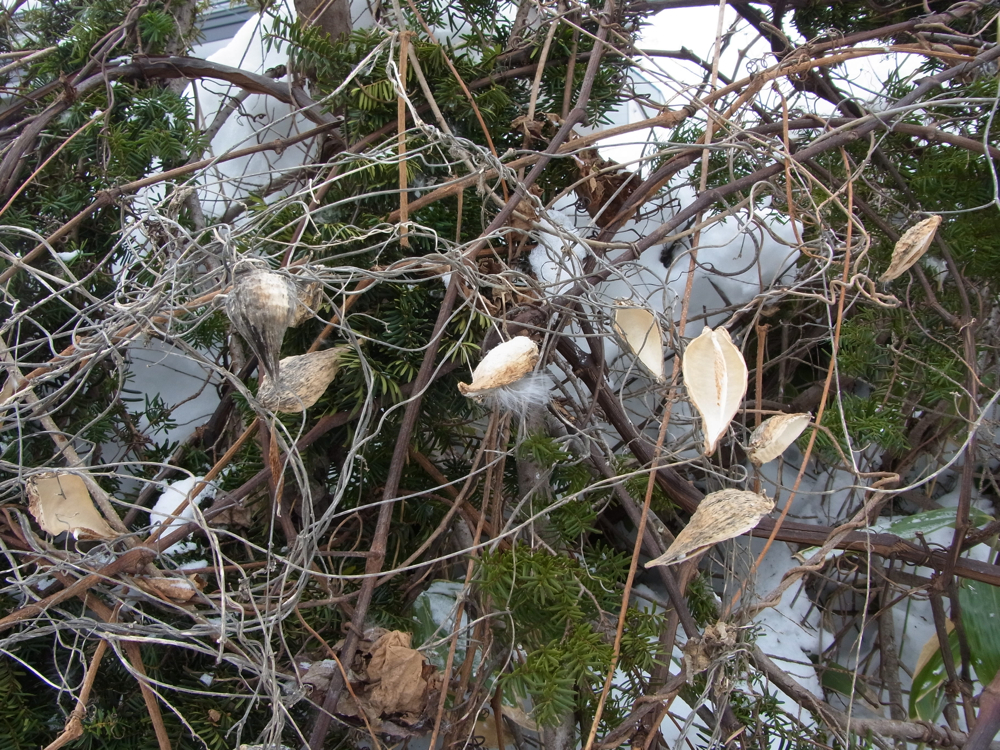 f:id:elmikamino:20130112113706j:image:w500