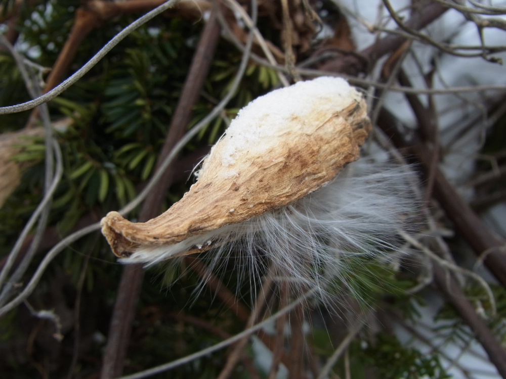 f:id:elmikamino:20130112113723j:image:w500