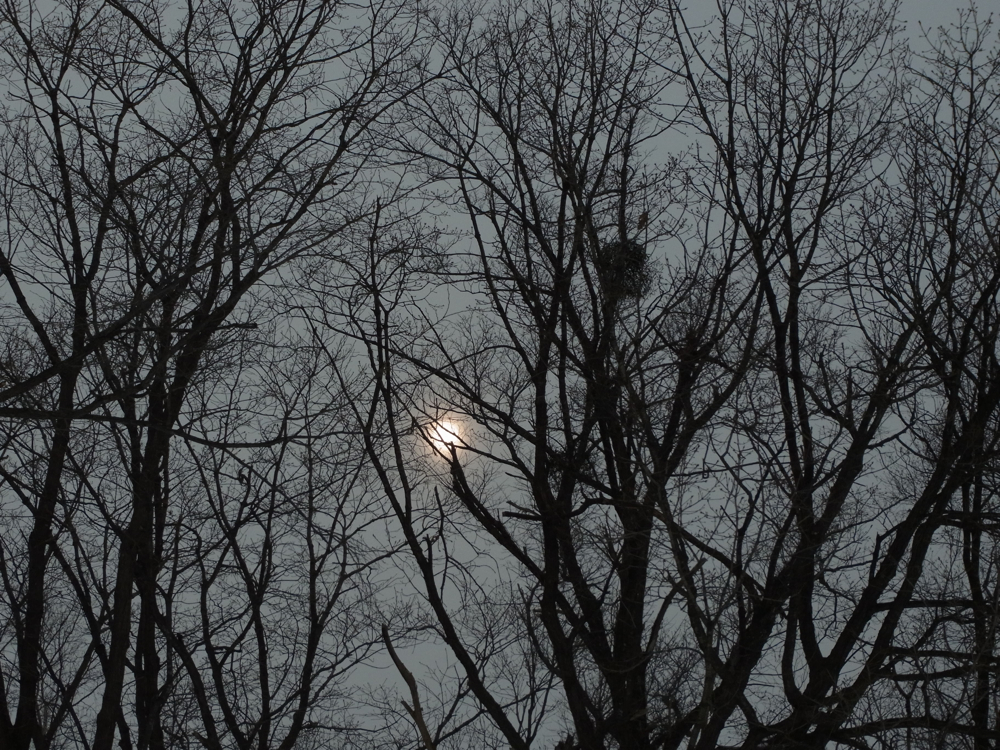 f:id:elmikamino:20130112115609j:image:w500