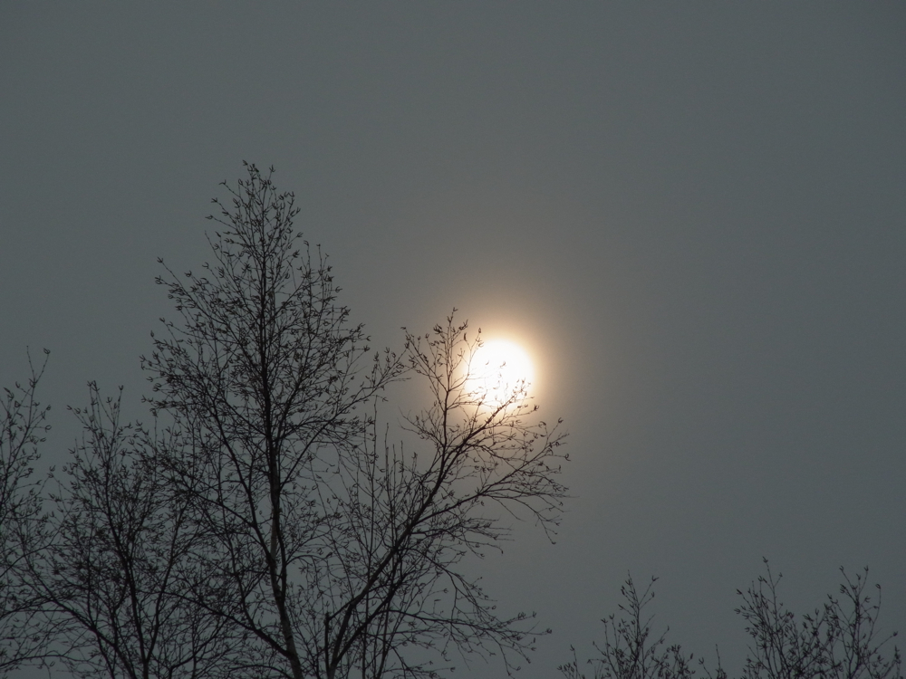 f:id:elmikamino:20130112115840j:image:w500