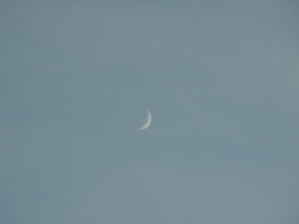 f:id:elmikamino:20130116155922j:image:w500