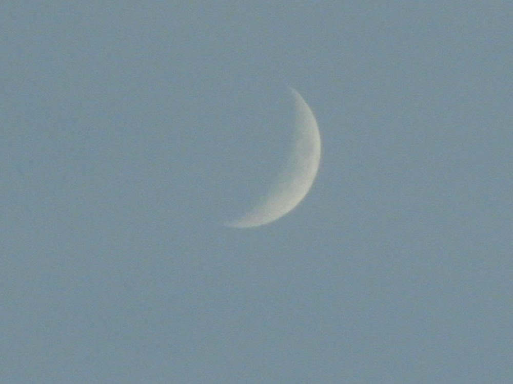 f:id:elmikamino:20130116155928j:image:w500