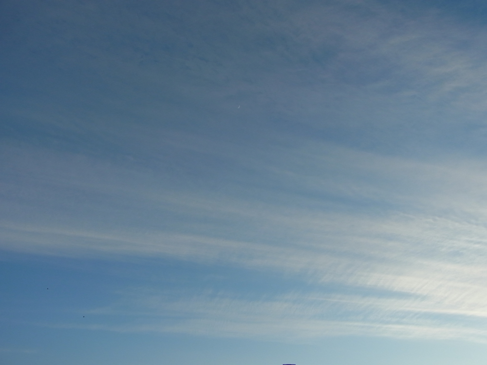 f:id:elmikamino:20130116160017j:image:w500