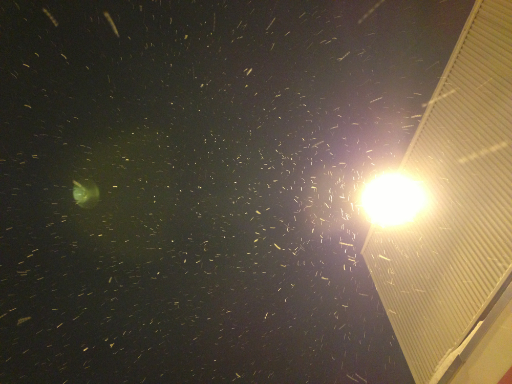 f:id:elmikamino:20130118201504j:image:w500