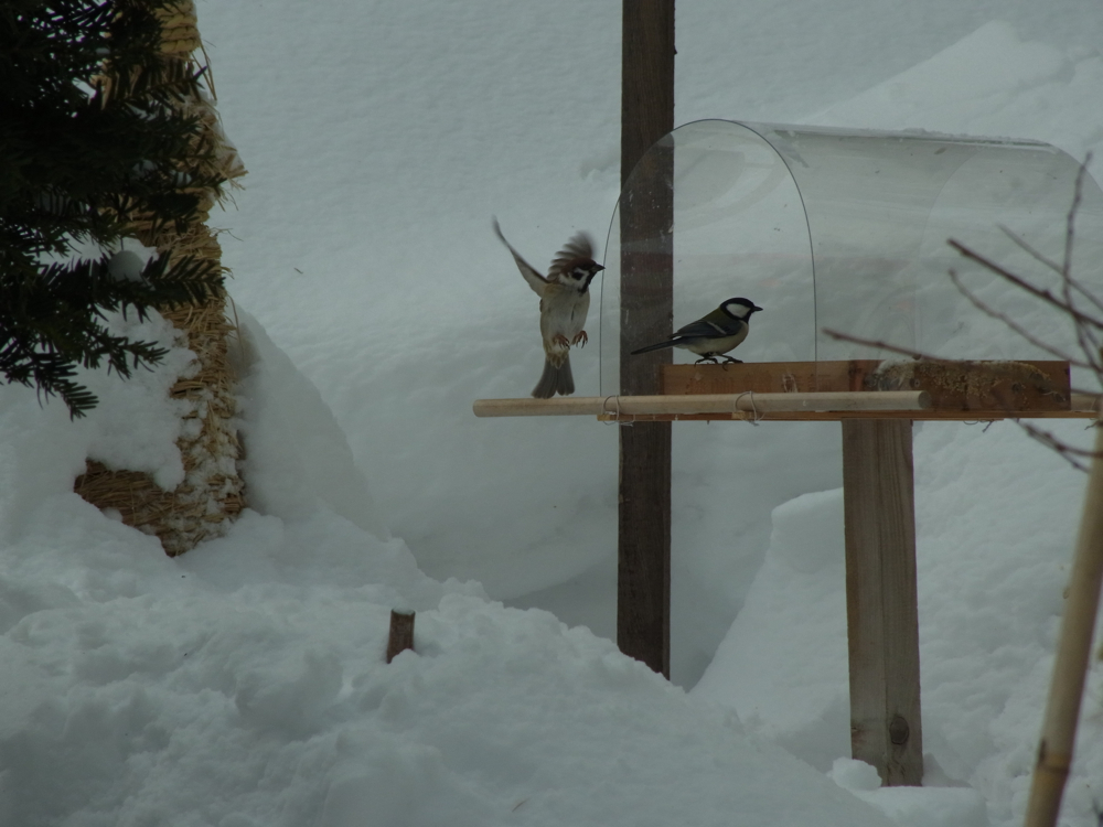 f:id:elmikamino:20130119103142j:image:w500