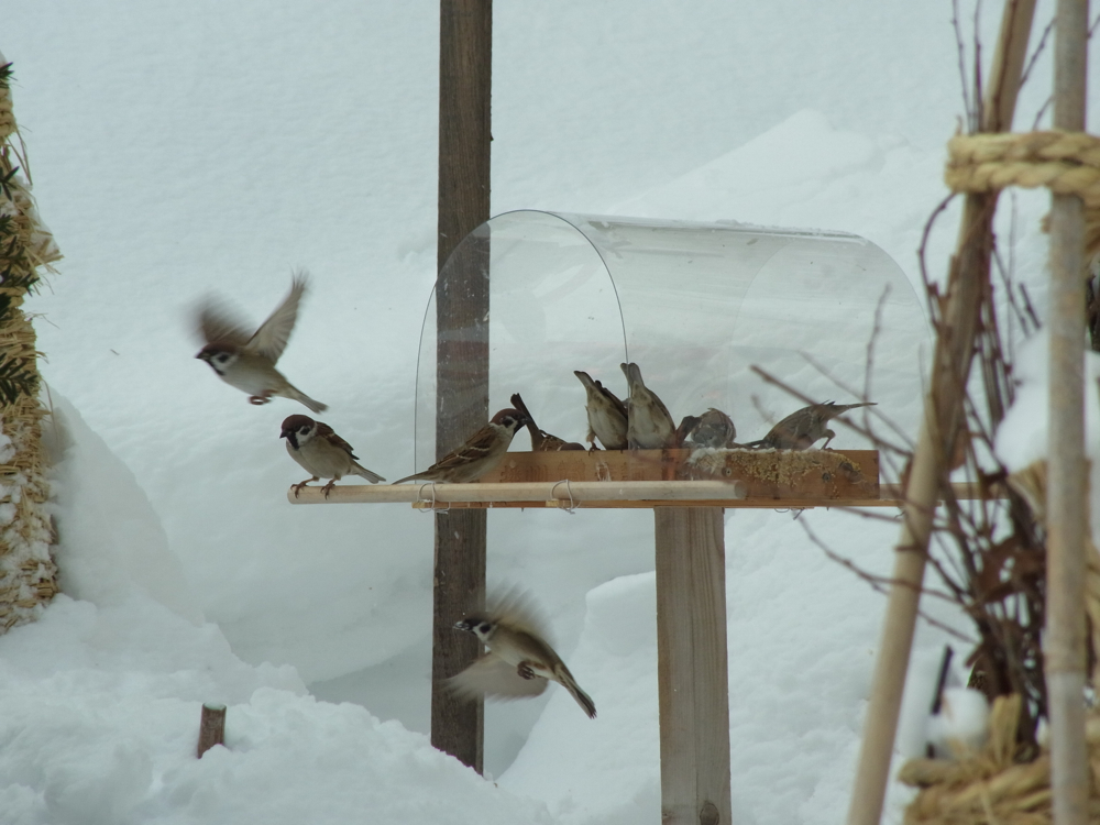 f:id:elmikamino:20130119103337j:image:w500