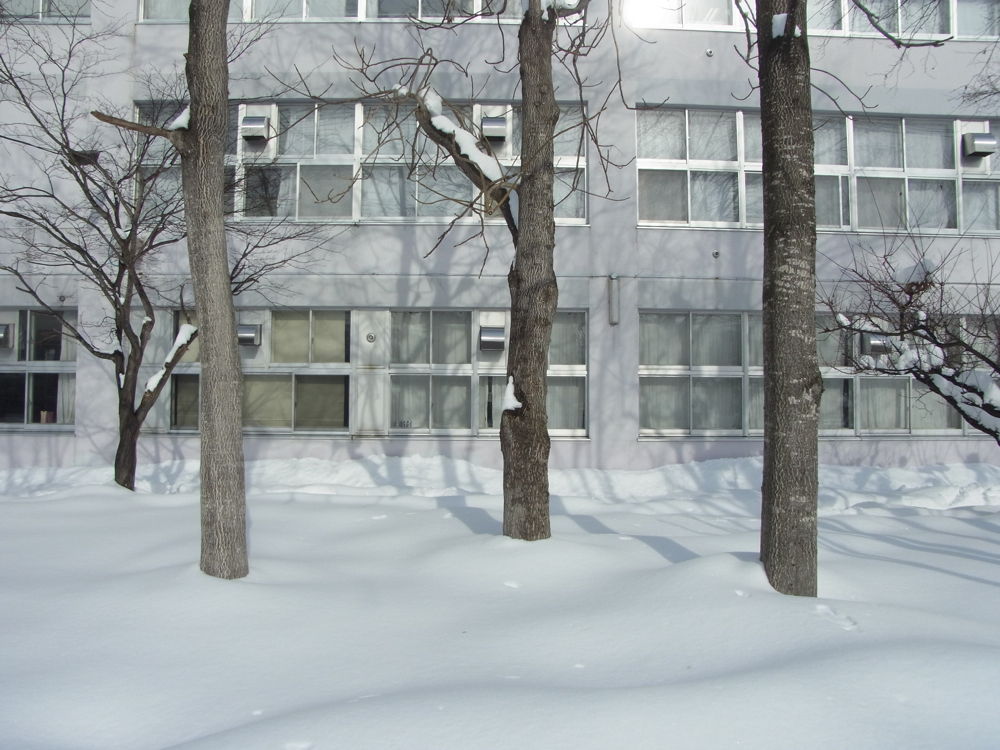 f:id:elmikamino:20130122103824j:image:w500