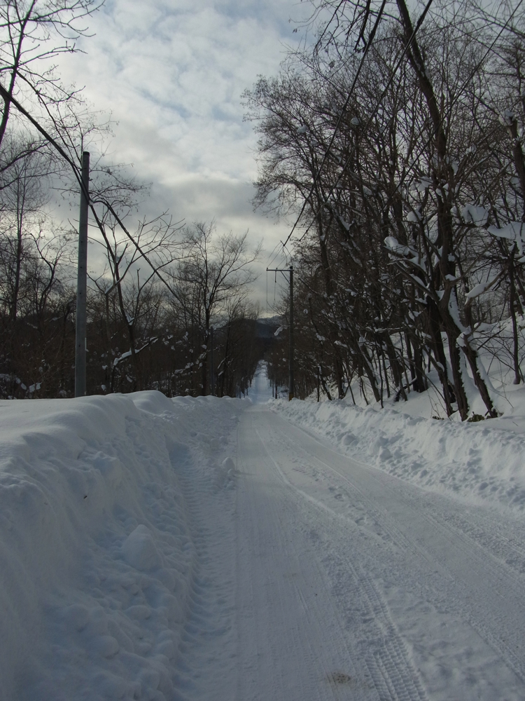 f:id:elmikamino:20130122135442j:image:w500