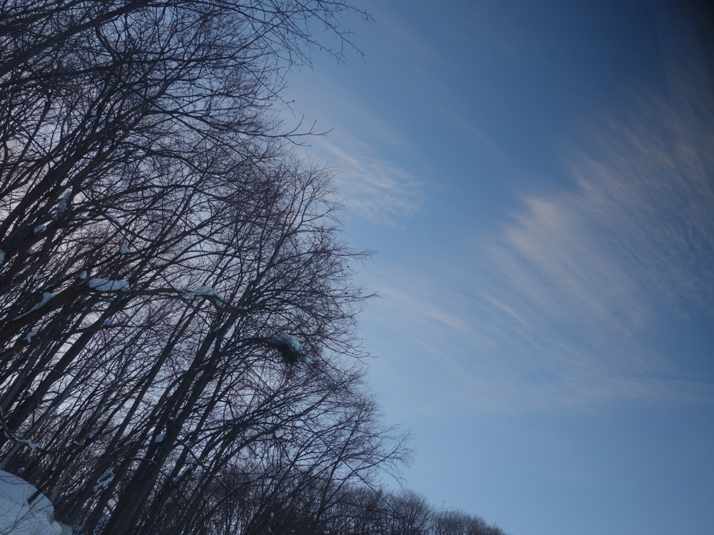 f:id:elmikamino:20130122161252j:image:w500