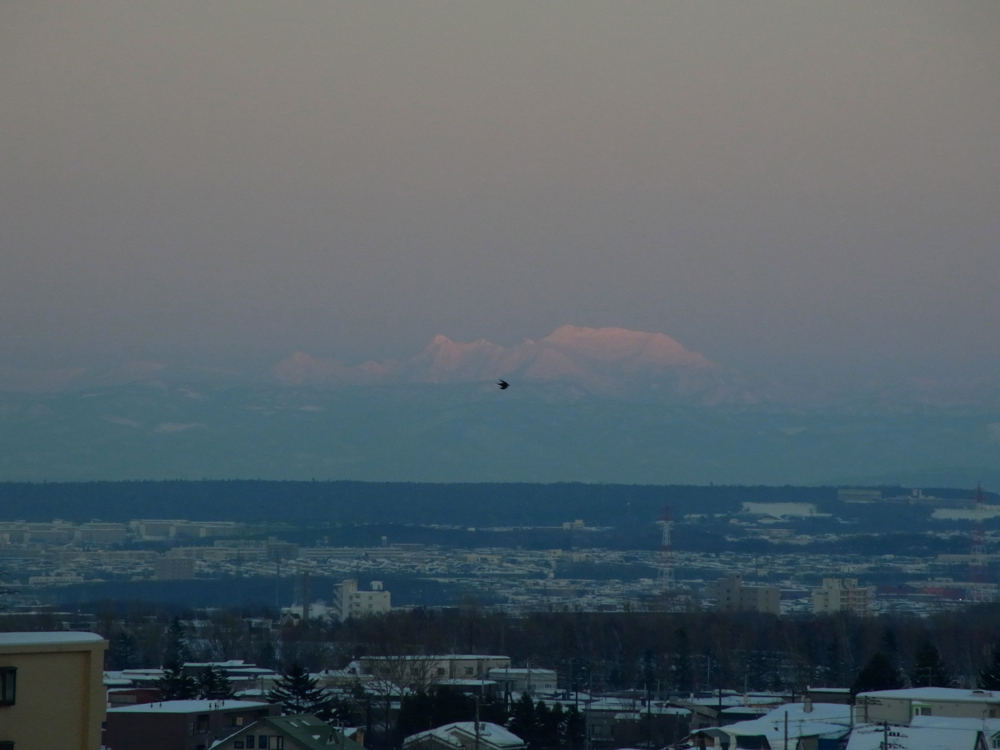 f:id:elmikamino:20130123162620j:image:w500