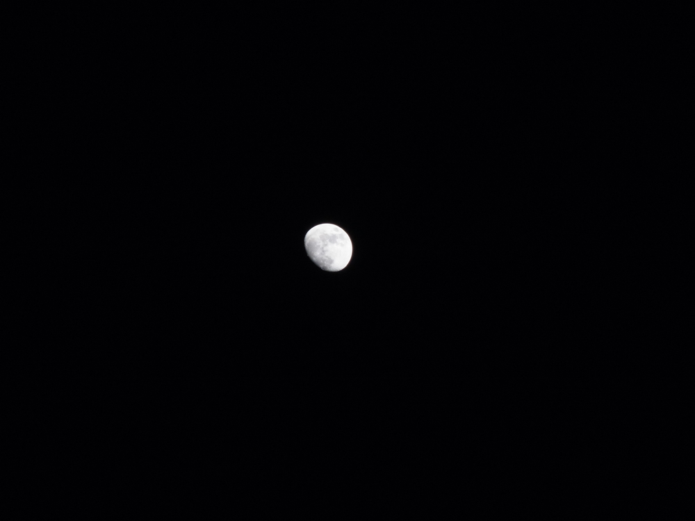 f:id:elmikamino:20130123170118j:image:w500