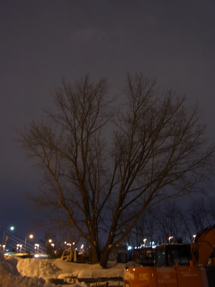 f:id:elmikamino:20130125175346j:image:w500