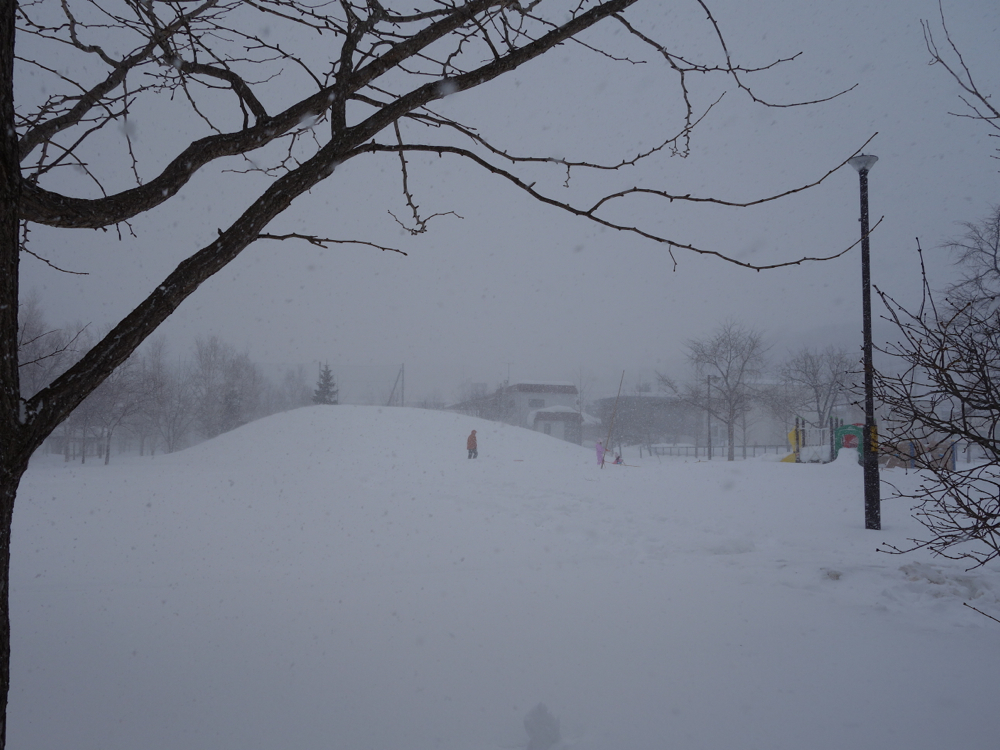 f:id:elmikamino:20130127110423j:image:w500