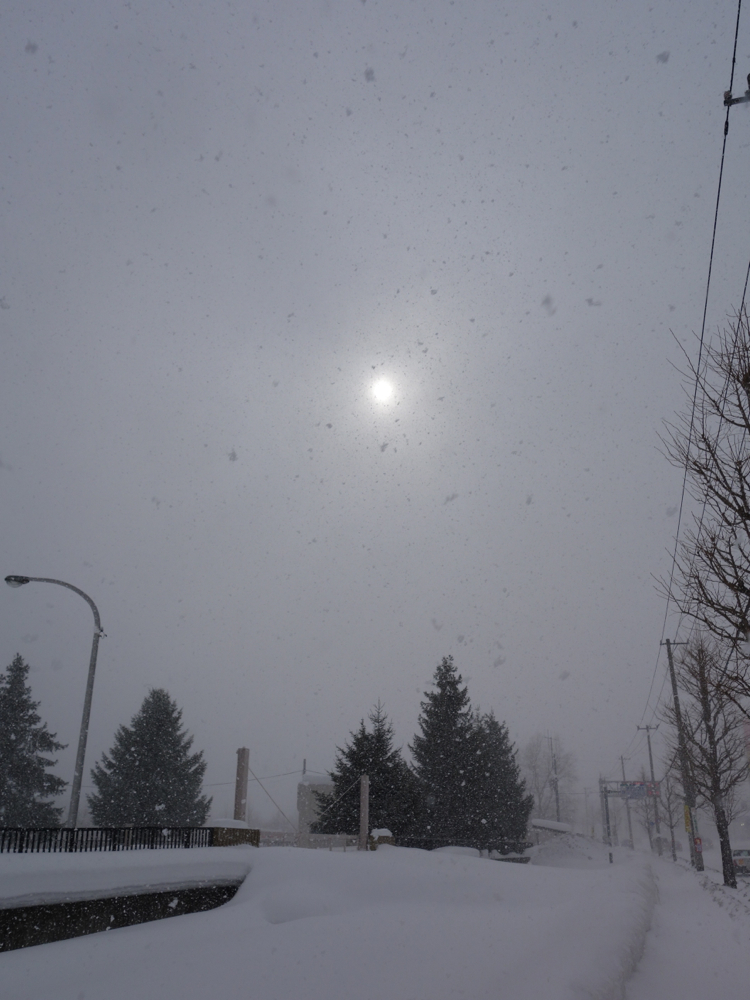 f:id:elmikamino:20130127113714j:image:w500