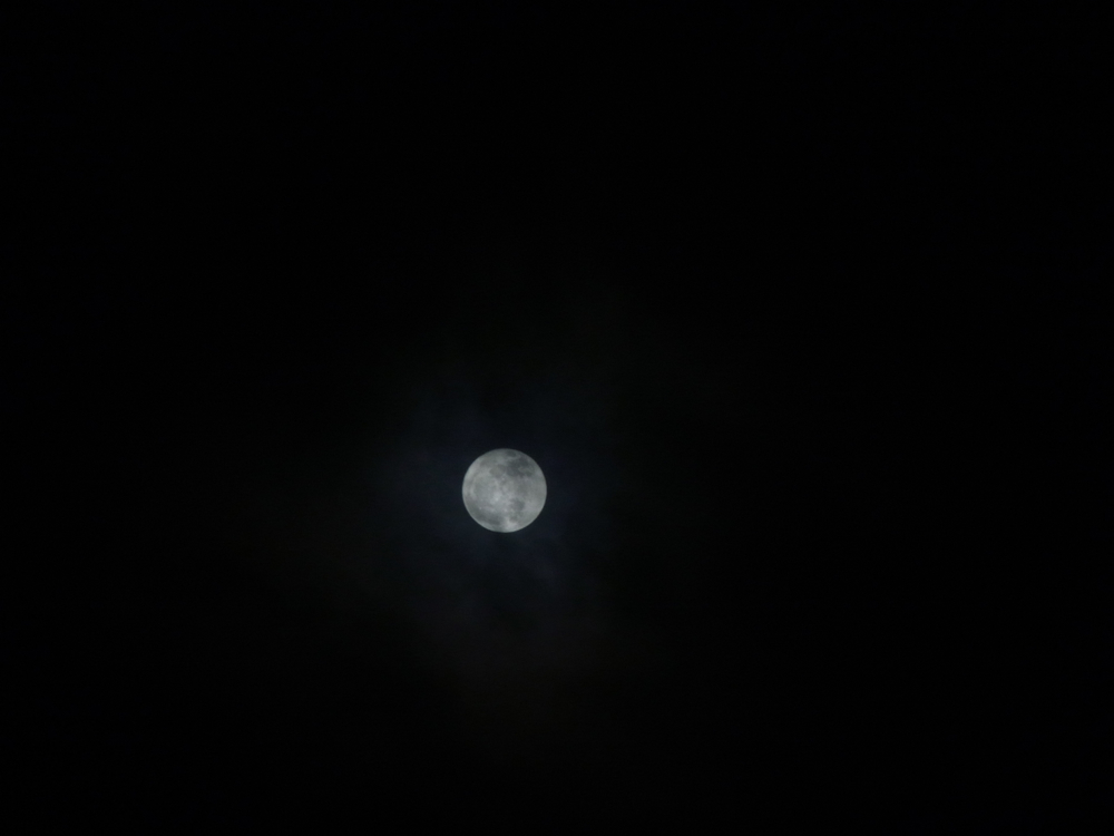 f:id:elmikamino:20130127193429j:image:w500