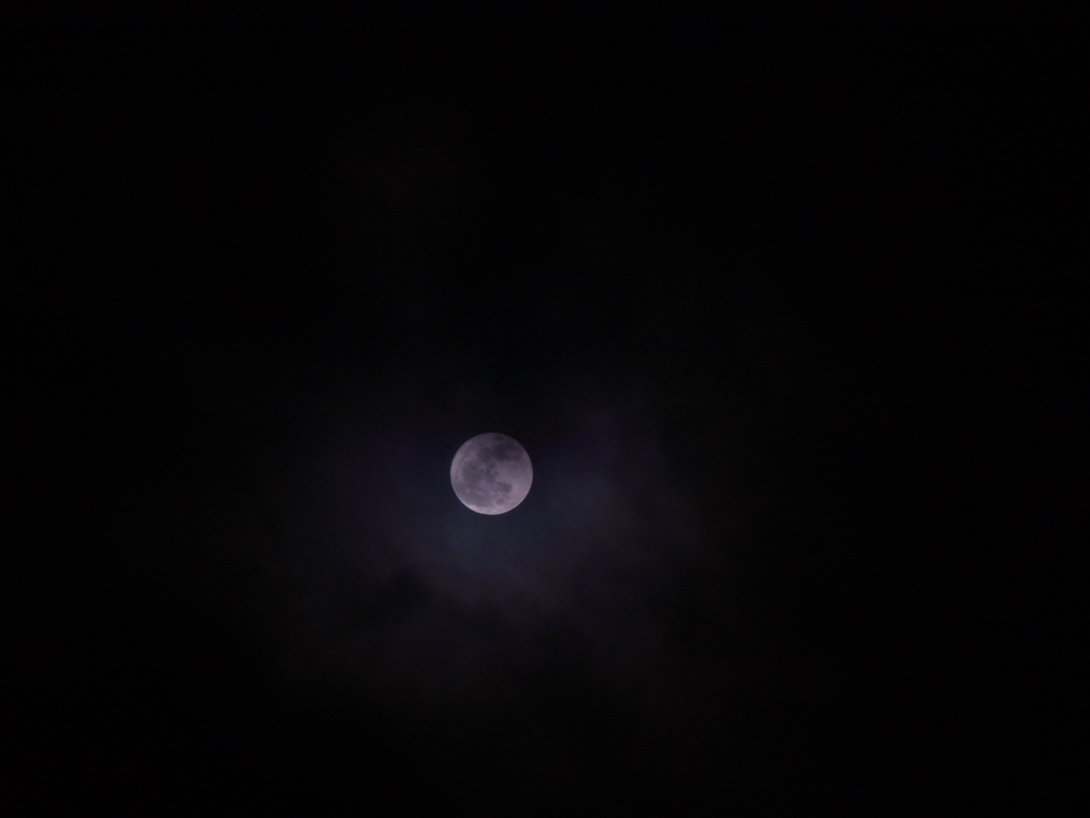 f:id:elmikamino:20130127193436j:image:w500