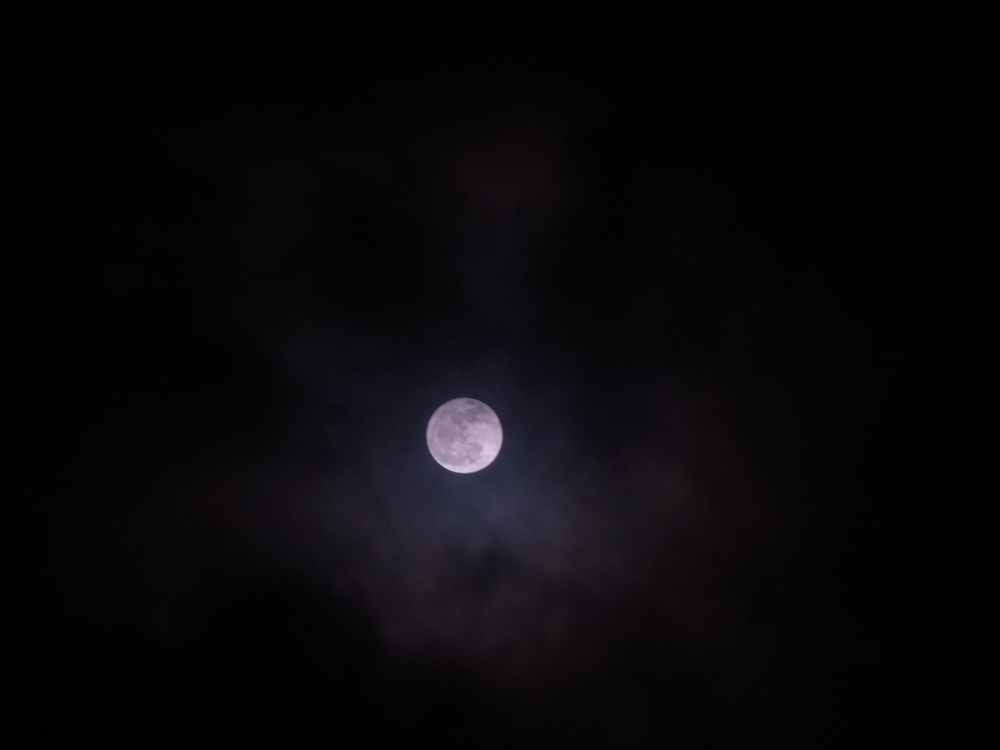f:id:elmikamino:20130127193441j:image:w500