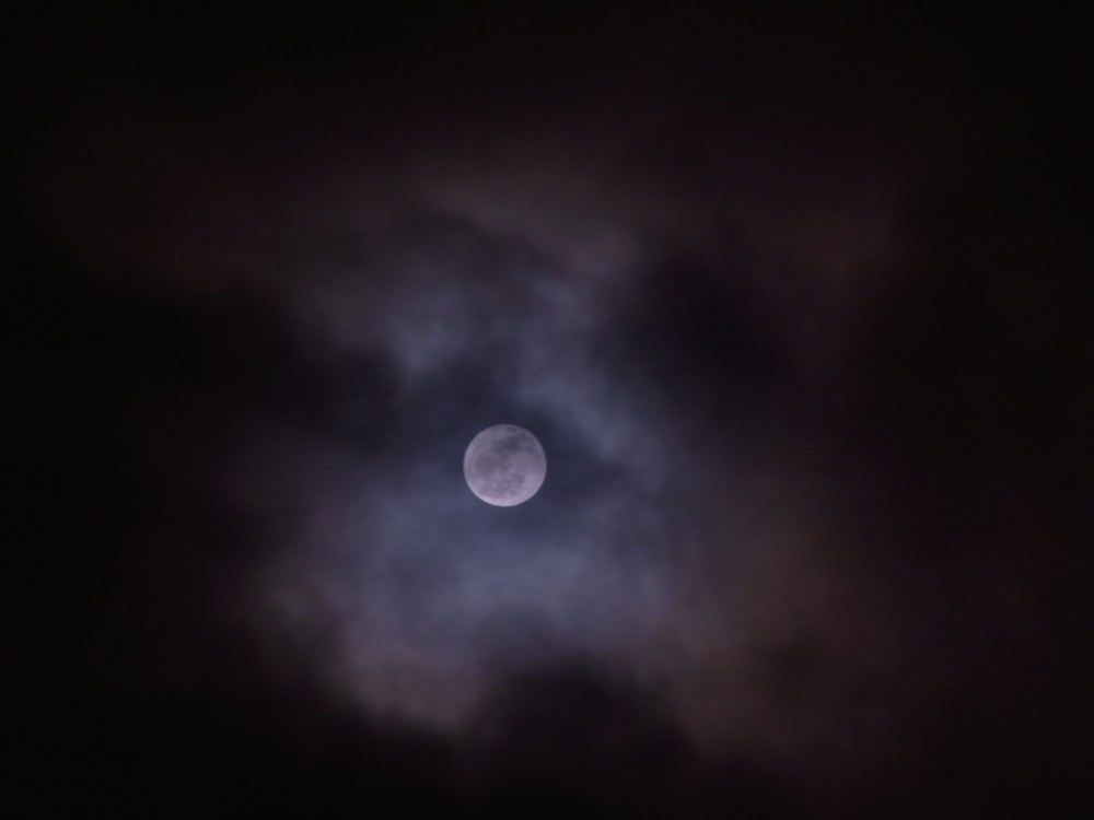 f:id:elmikamino:20130127193451j:image:w500