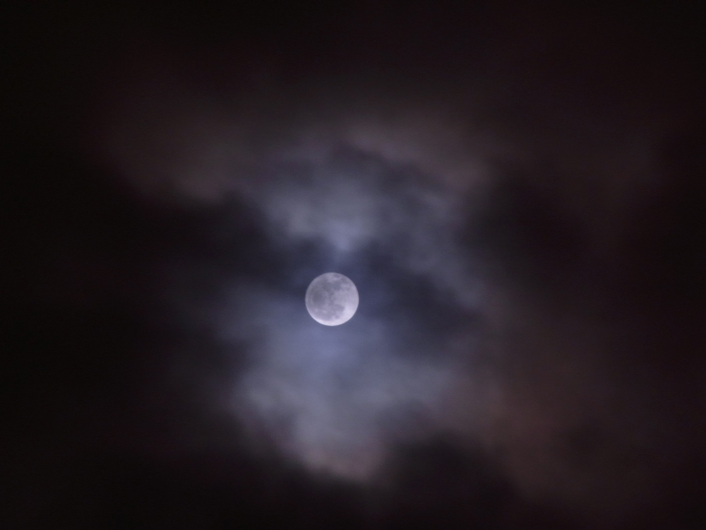 f:id:elmikamino:20130127193455j:image:w500
