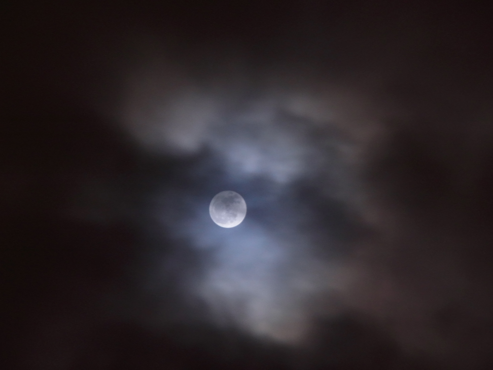 f:id:elmikamino:20130127193459j:image:w500