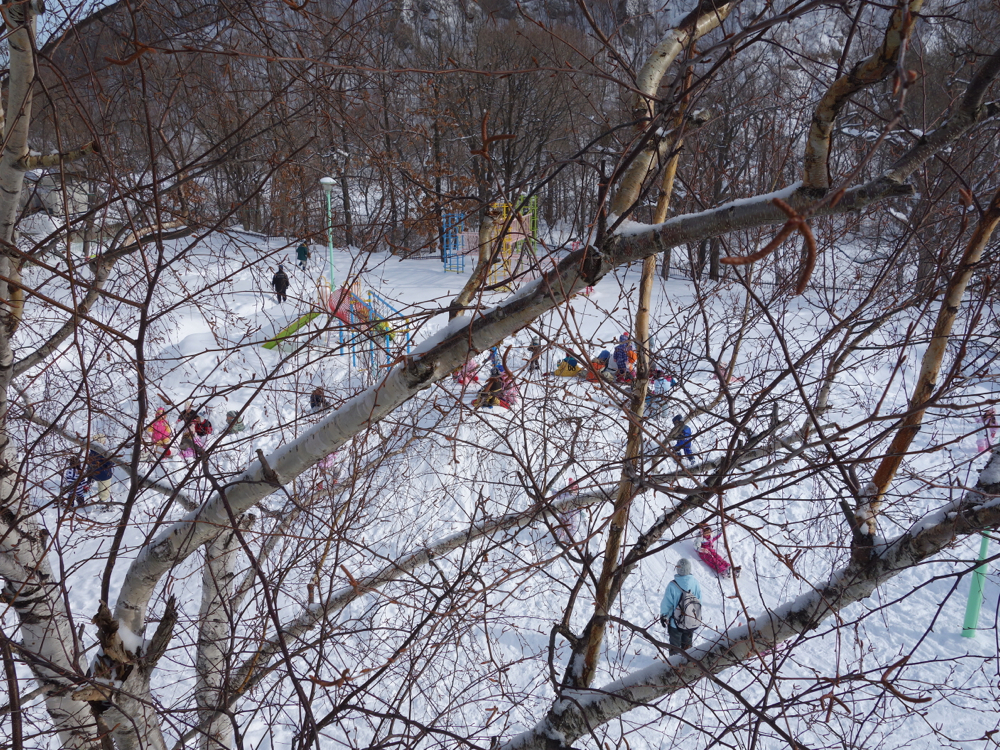 f:id:elmikamino:20130128110201j:image:w500