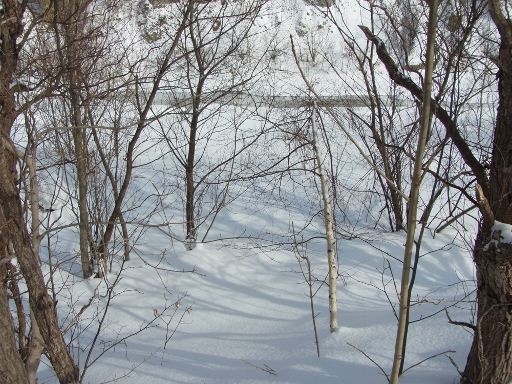 f:id:elmikamino:20130128112108j:image:w500