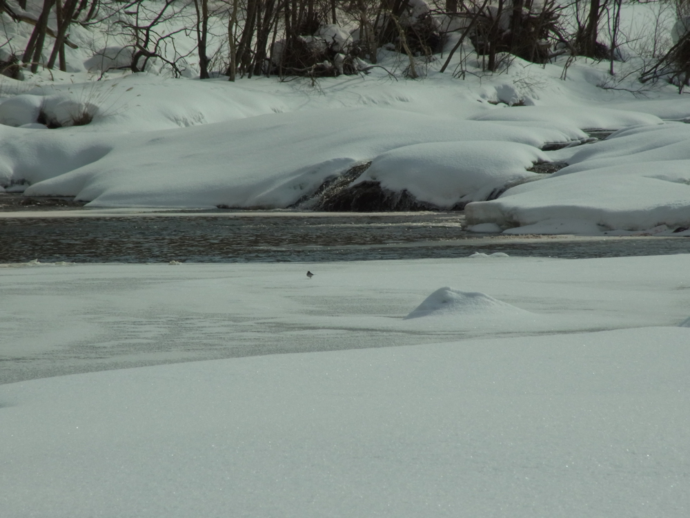 f:id:elmikamino:20130128112948j:image:w500