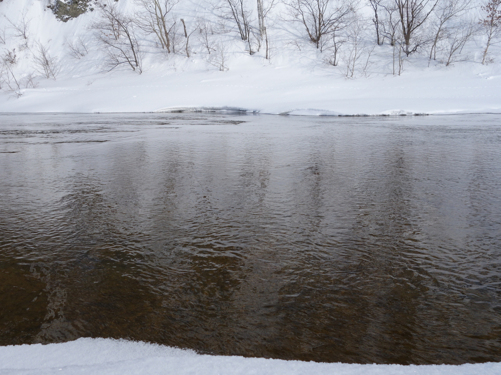 f:id:elmikamino:20130128113229j:image:w500