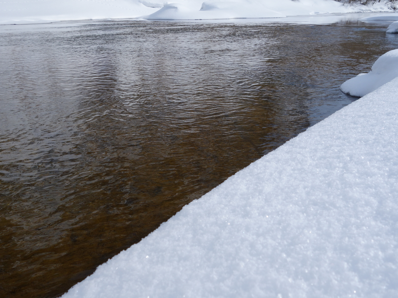 f:id:elmikamino:20130128113254j:image:w500