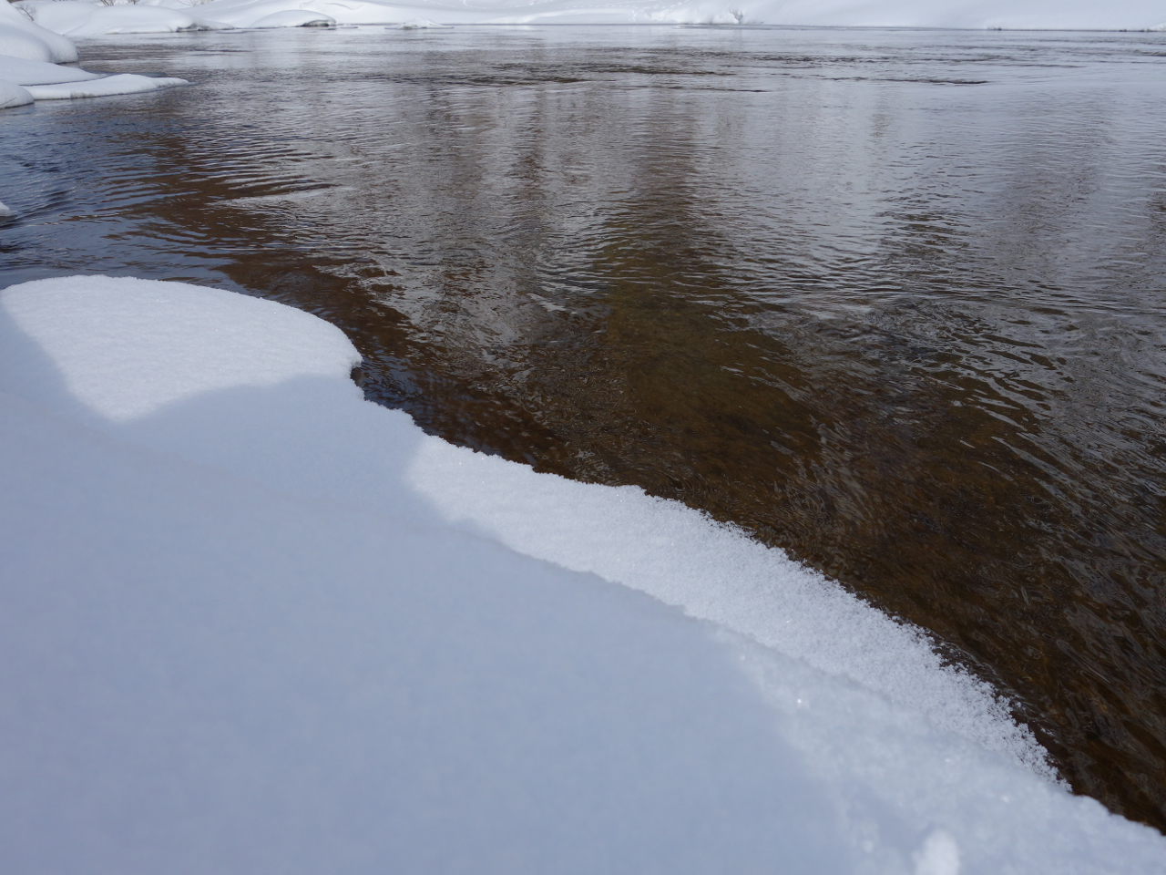 f:id:elmikamino:20130128113301j:image:w500