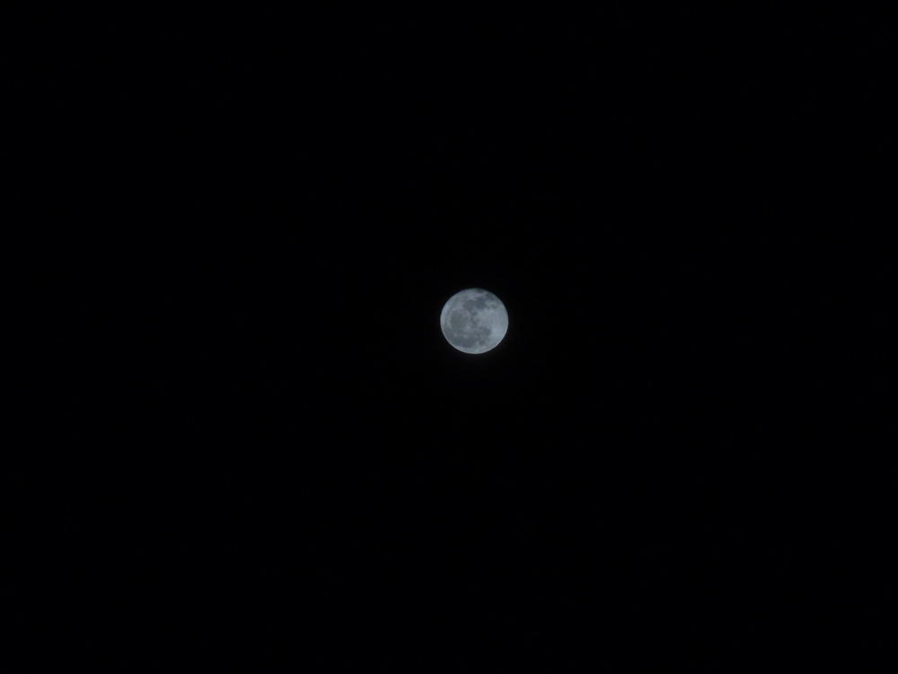 f:id:elmikamino:20130128185451j:image:w500