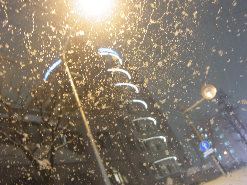 f:id:elmikamino:20130129180202j:image:w500