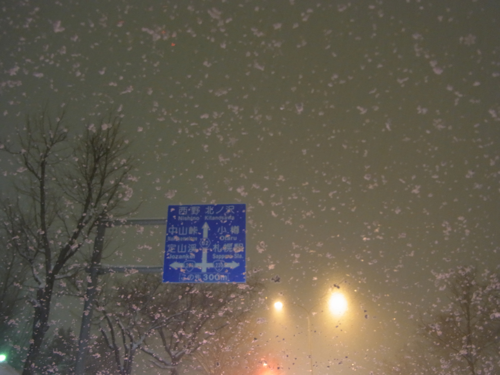 f:id:elmikamino:20130129180431j:image:w500
